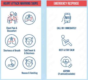 Heart attack symptoms and emergency response infographic with warning signs and first aid steps