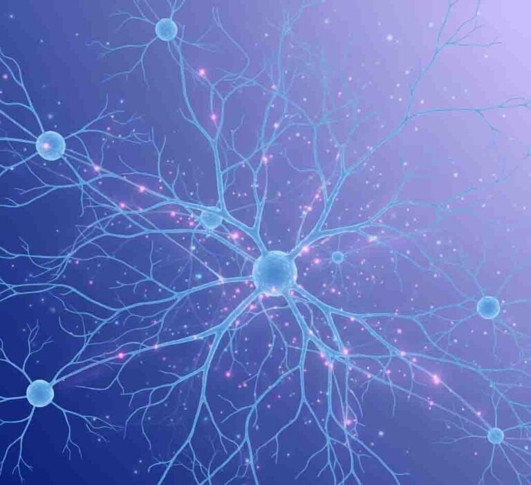Brain neural network connections and synaptic communication diagram