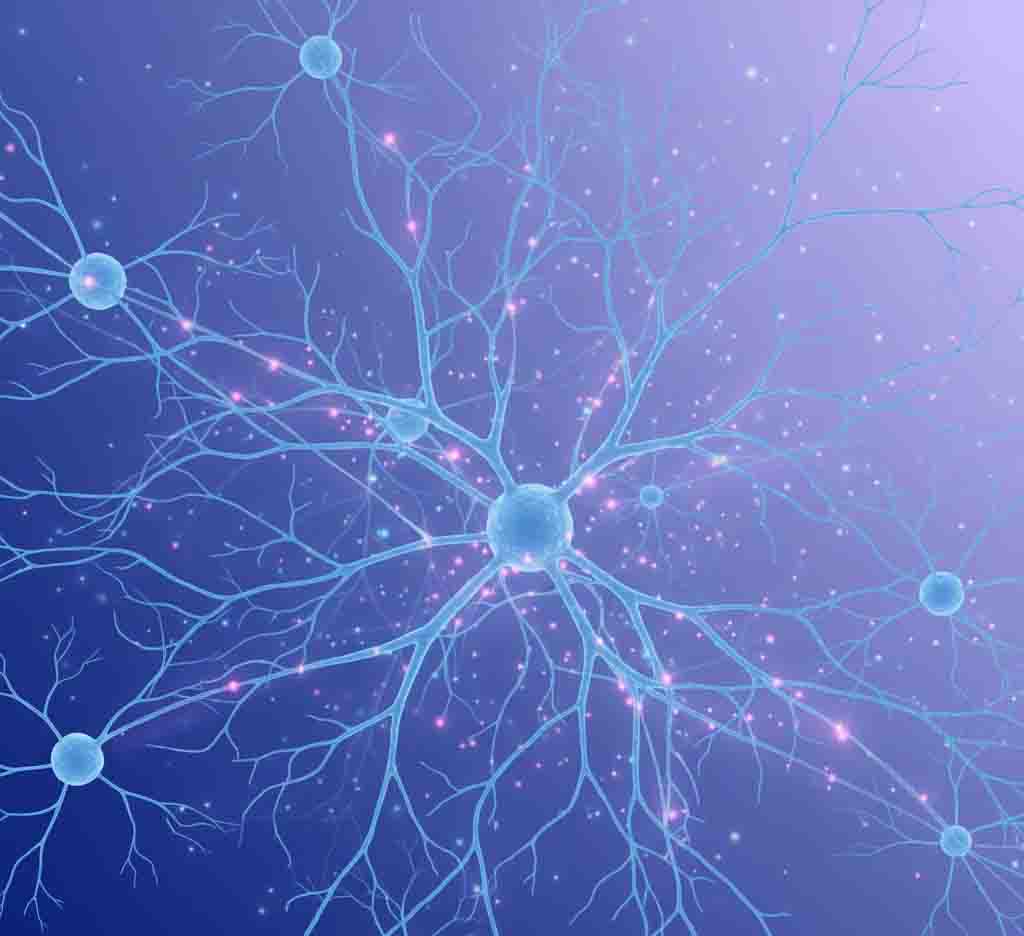 Brain neural network connections and synaptic communication diagram